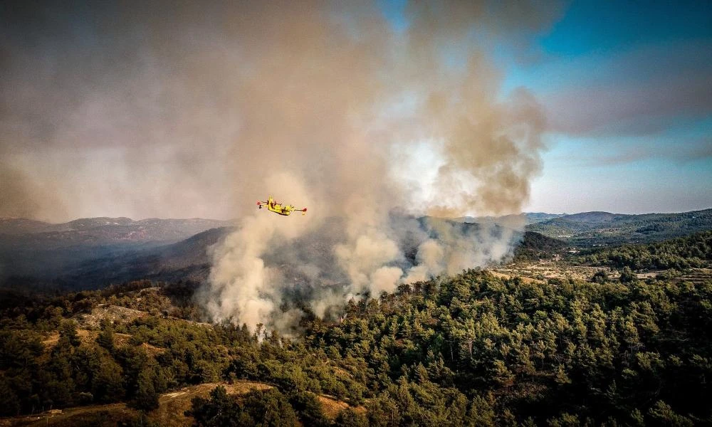 Φωτιά στην Ραφήνα - Σηκώθηκε ελικόπτερο για εναέριες ρίψεις